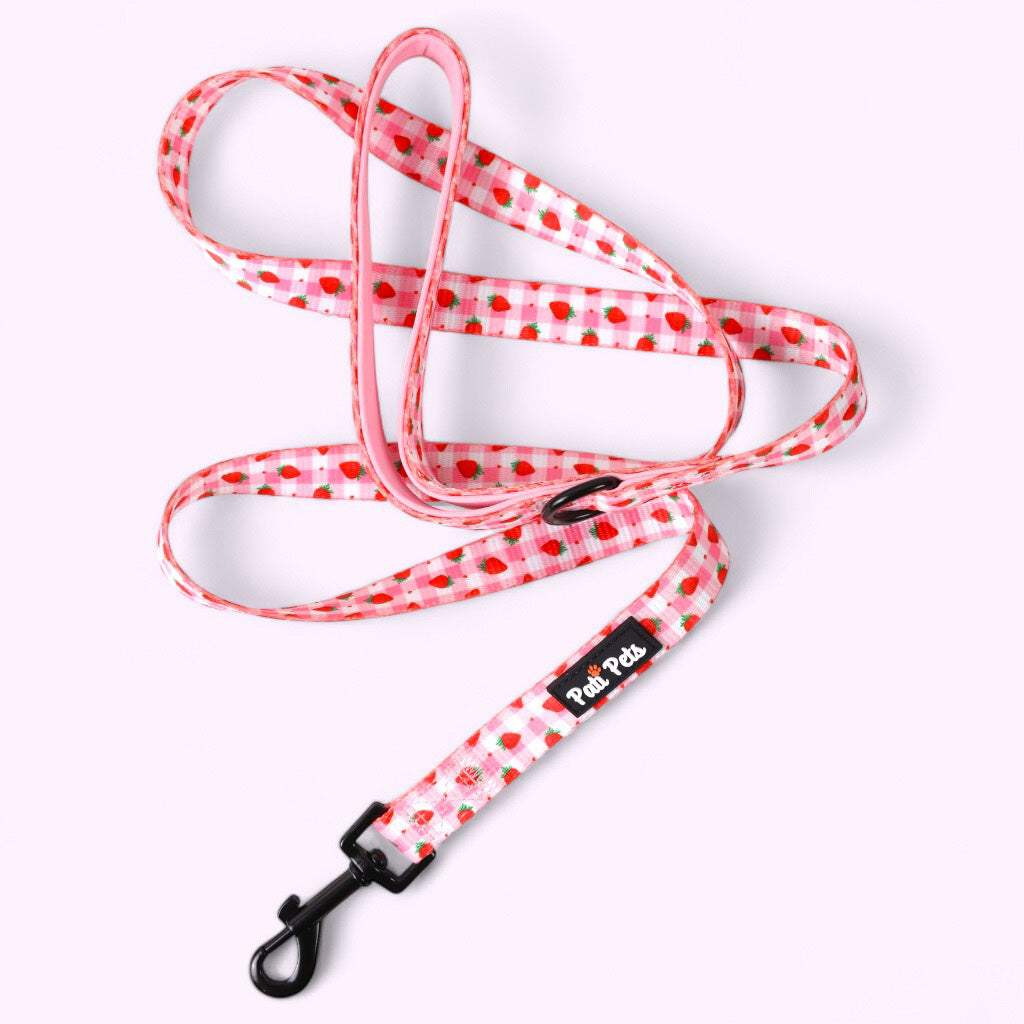 Complete Walk Set | Strawberry Jumble
